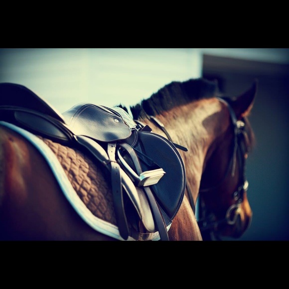 Meet your Posher, Lindsay - Picture 1 of 1